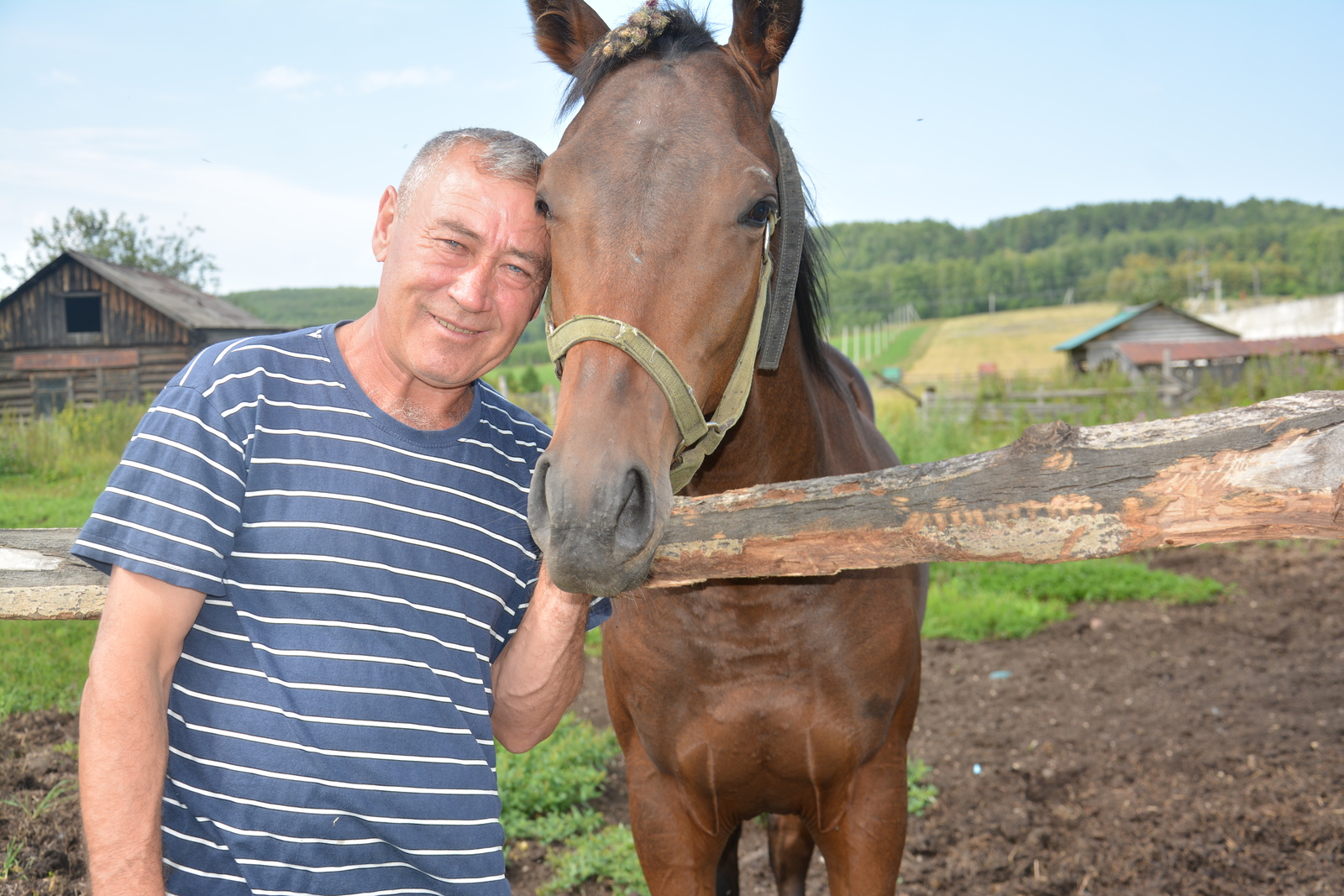 Аттарға һөйөү – ғүмерлеккә